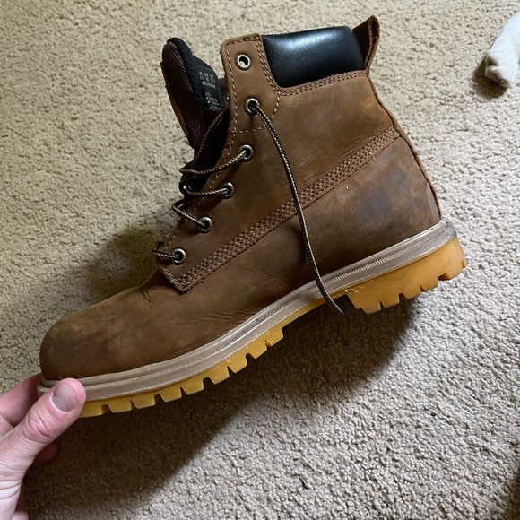 Irish setter 7.5 - Picture 9 of 9